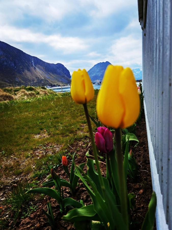 Banpim Beachside Lofoten Ramberg Eksteriør billede