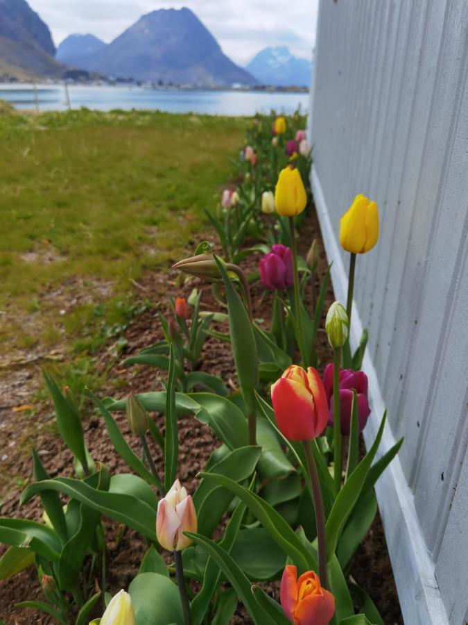 Banpim Beachside Lofoten Ramberg Eksteriør billede