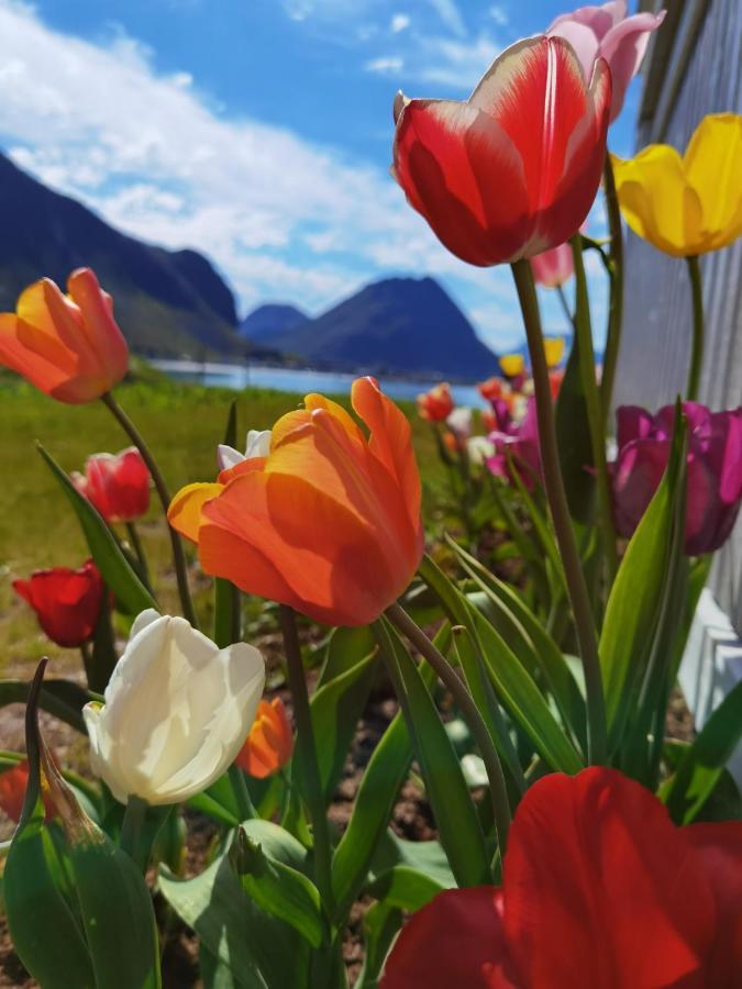 Banpim Beachside Lofoten Ramberg Eksteriør billede