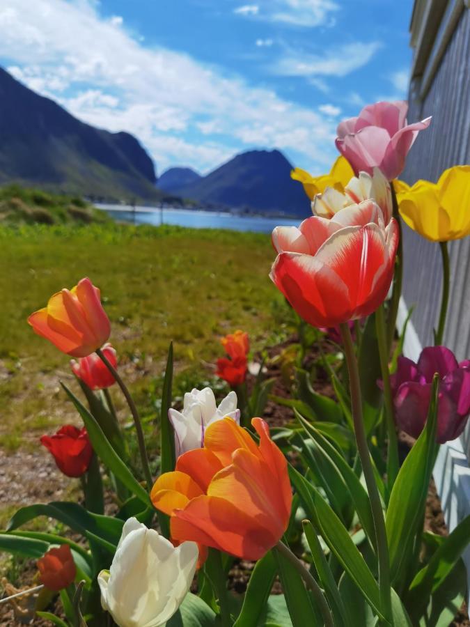 Banpim Beachside Lofoten Ramberg Eksteriør billede