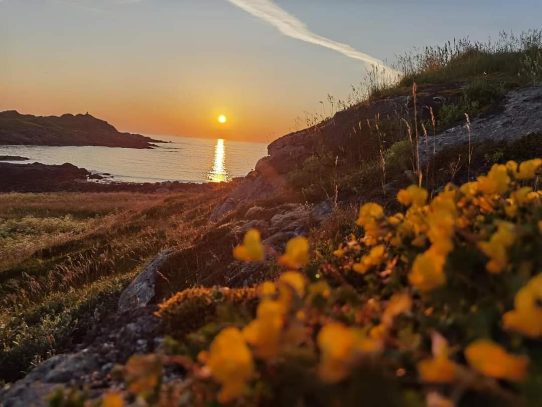 Banpim Beachside Lofoten Ramberg Eksteriør billede